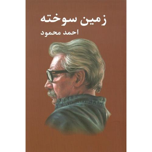 زمین‏ سوخته؛ نشر معین