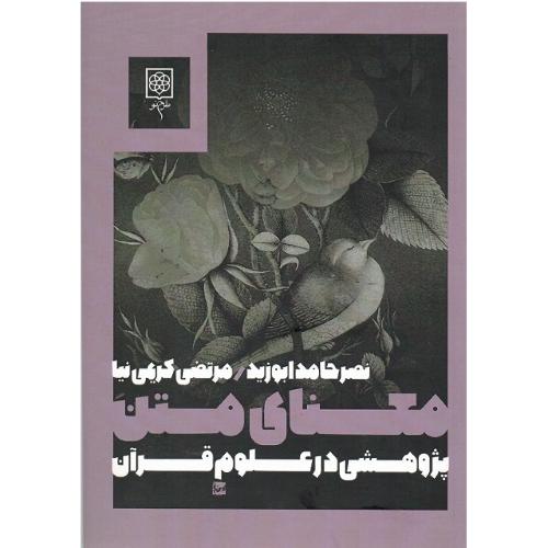 معنای‏ متن‏