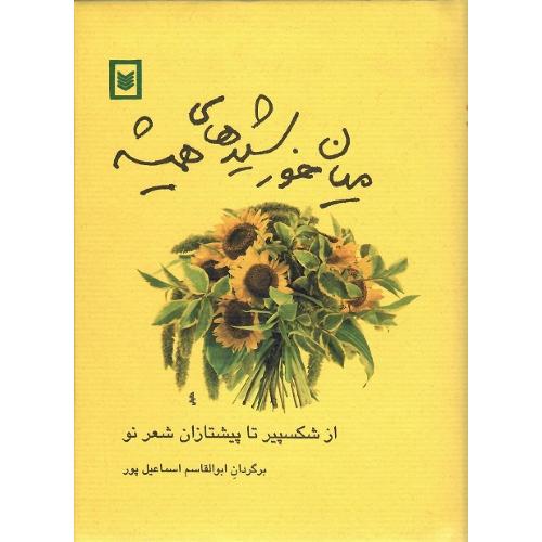 میان‏ خورشیدهای‏ همیشه‏