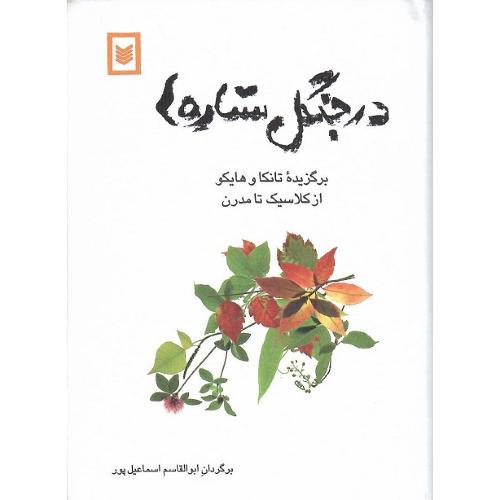 درجنگل‏ستاره‏ها