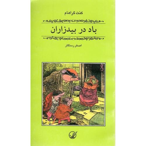 باد در بیدزاران