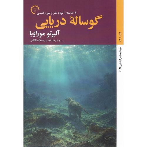 گوساله دریایی