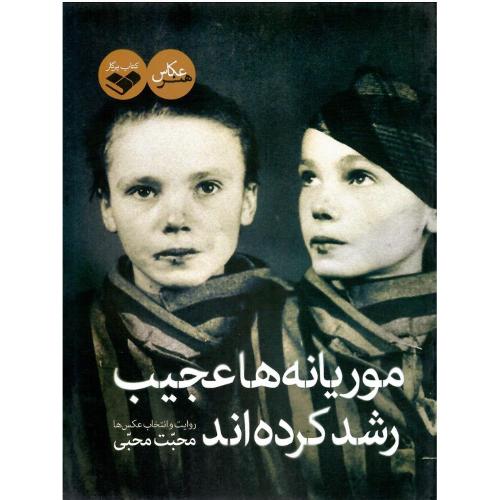 موریانه‌ها عجیب رشد کرده‌اند