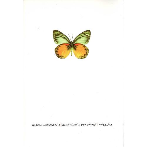 بر بال پروانه‌ها