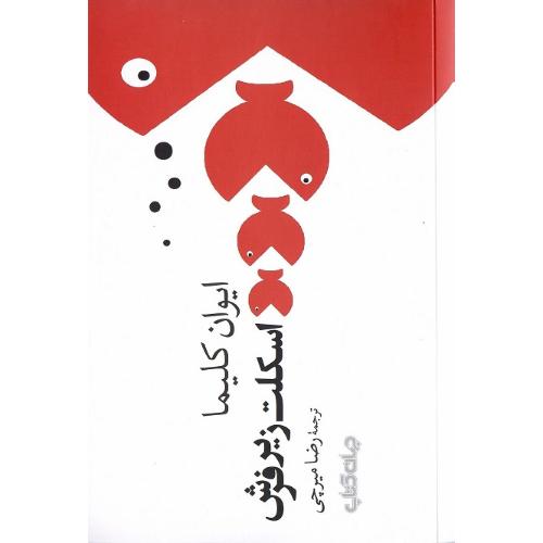 اسکلت زیر فرش