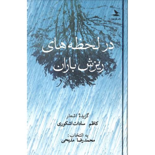 در لحظه‌های ریزش باران
