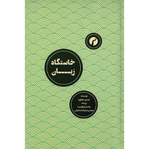 خاستگاه زبان