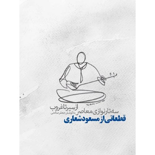 از سیر تا غروب؛ سه‌تار نوازی معاصر
