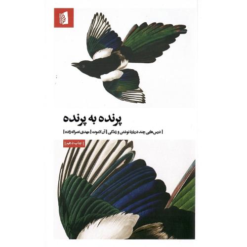 پرنده به پرنده