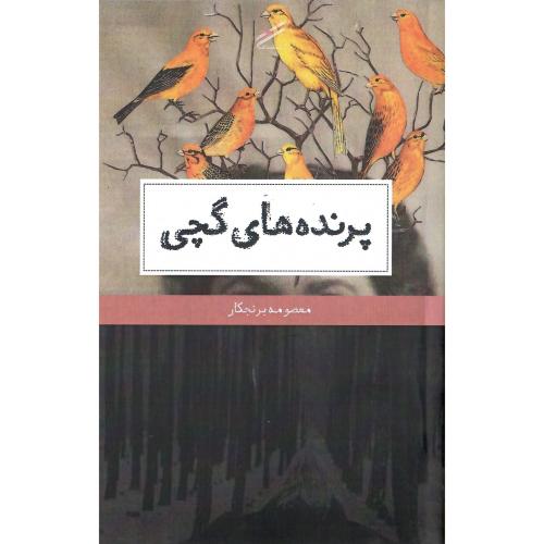 پرنده‌های گچی