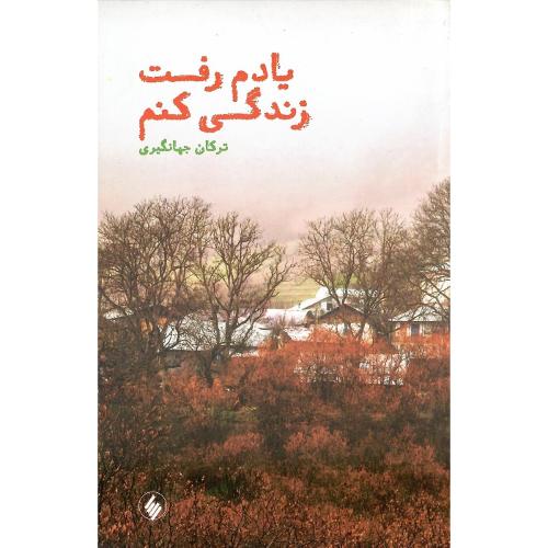 یادم رفت زندگی کنم