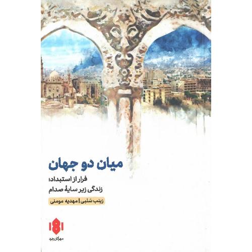 میان دو جهان