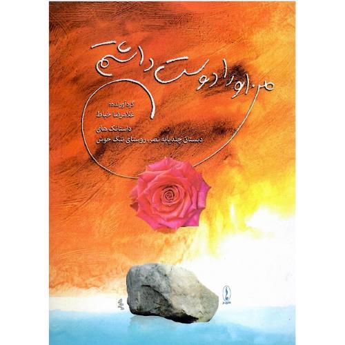 من او را دوست داشتم