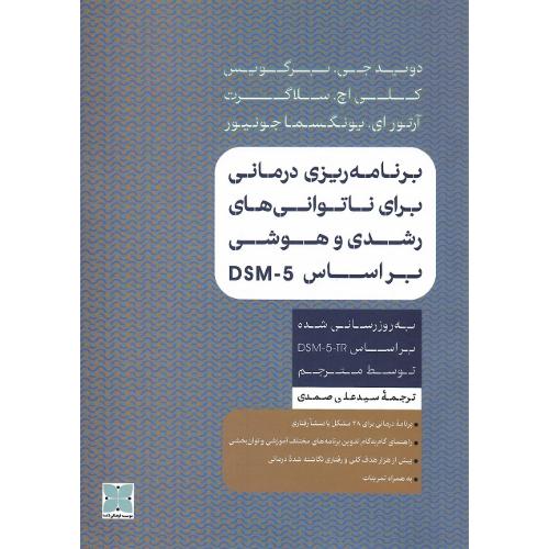 برنامه‌ریزی درمانی برای ناتوانی‌های رشدی هوشی  بر اساس DSM-5