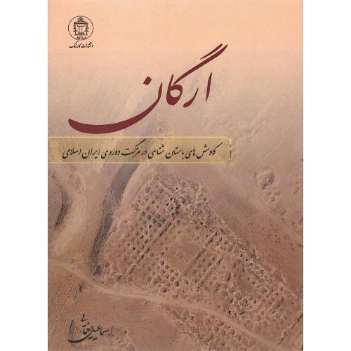 ارگان؛ کاوش های باستان‌شناسی در مزگت دوره ایران اسلامی