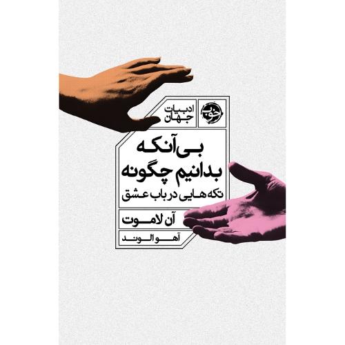 بی‌آنکه بدانیم چگونه؛ نکته‌هایی در باب عشق