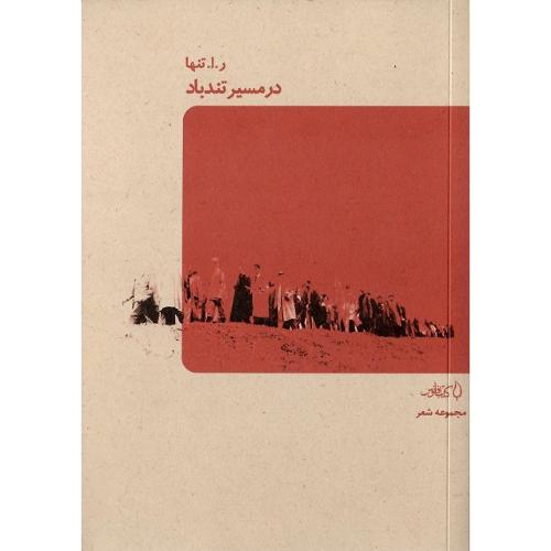 در مسیر تندباد