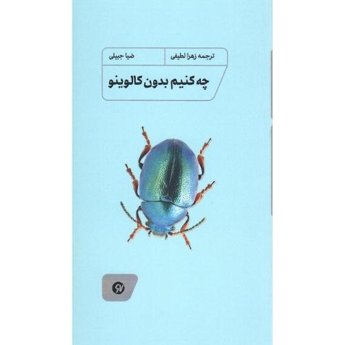 چه کنیم بدون کالوینو
