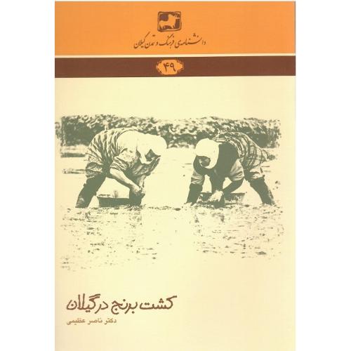 دانشامه‌‌ی فرهنگ و تمدن گیلان(49)؛ کشت برنج درگیلان