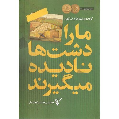 ما را دشت‌‎ها نادیده می‌گیرند
