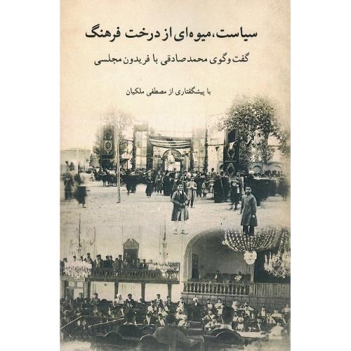 سیاست، میوه‌ای از درخت فرهنگ