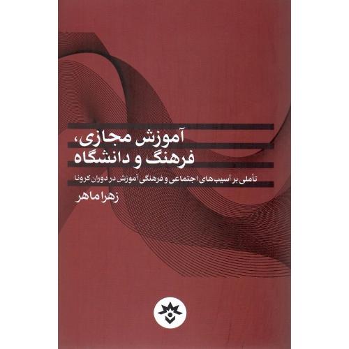 آموزش مجازی، فرهنگ و دانشگاه