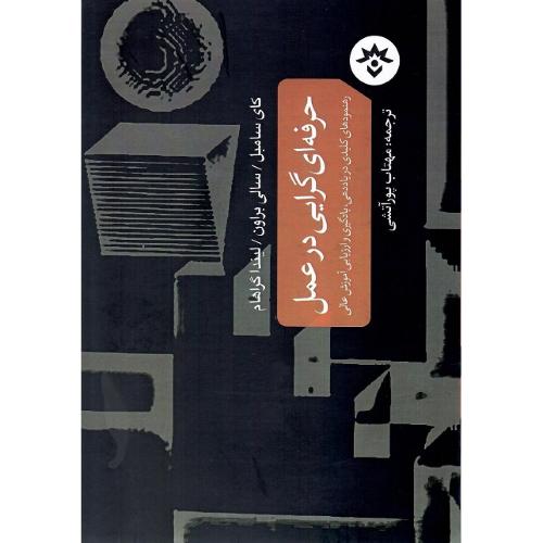 حرفه‌ای‌گرایی در عمل
